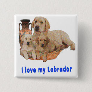 Labrador Retriever 15 Cm Square Badge