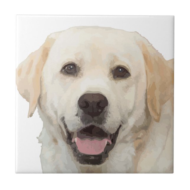 Labrador retriever 1 ceramic tile (Front)