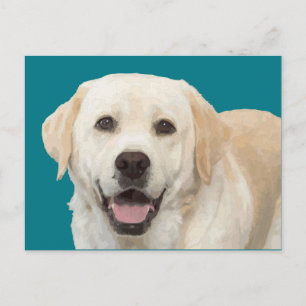 Labrador retriever 1 postcard