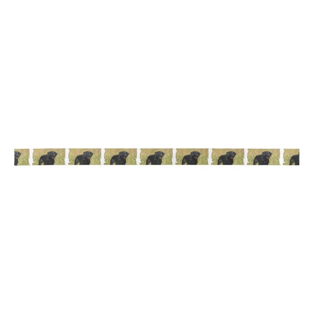 labrador-retriever-25.jpg satin ribbon (Front)