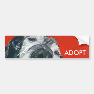 Labrador Retriever ADOPT Bumper Sticker