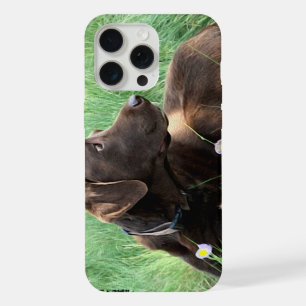 Labrador Retriever And Purple Flowers iPhone Case