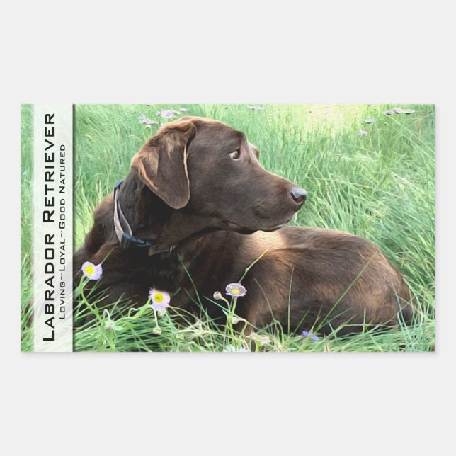 Labrador Retriever And Purple Flowers Rectangular Sticker (Front)