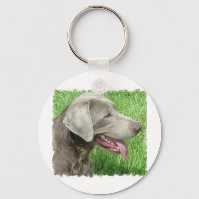 Labrador Retriever Apparel And Items Key Ring (Front)