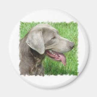 Labrador Retriever Apparel And Items Magnet