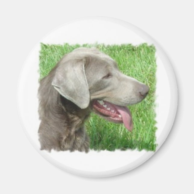 Labrador Retriever Apparel And Items Magnet (Front)