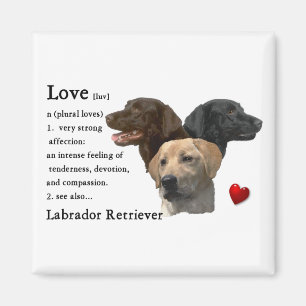 Labrador Retriever Art Gifts Magnet