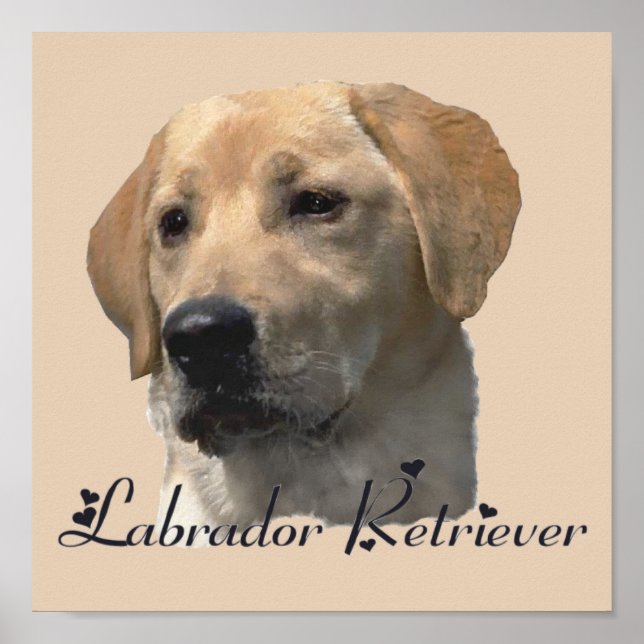 Labrador Retriever Art Prints (Front)