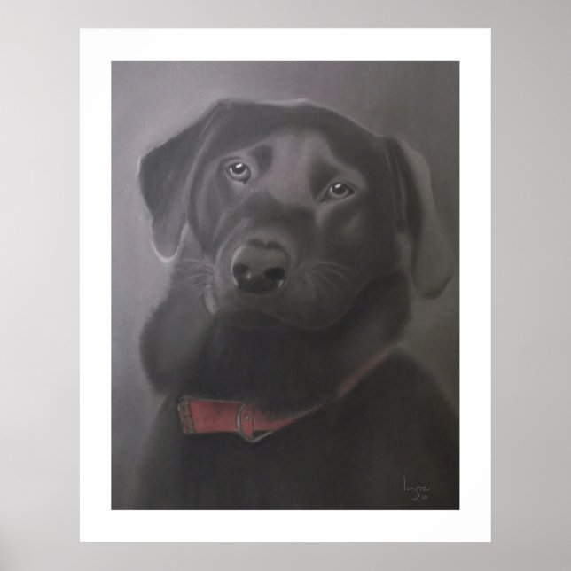Labrador Retriever Beautiful 24" x 30" Poster (Front)