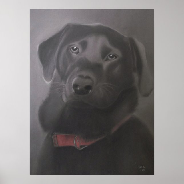 Labrador Retriever Beautiful Poster (Front)