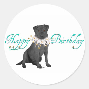 Labrador Retriever Birthday Greetings Classic Round Sticker