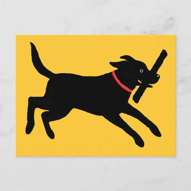 Labrador Retriever (Black) Postcard (Front)