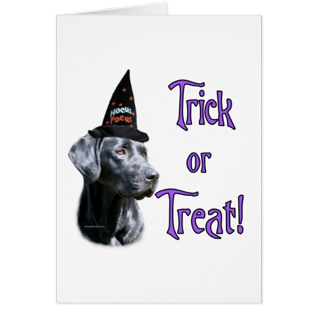 Labrador Retriever (black)Trick (Front)