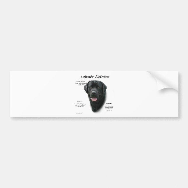 Labrador Retriever (blk) History Design Bumper Sticker (Front)