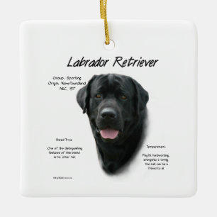 Labrador Retriever (blk) History Design Ceramic Ornament