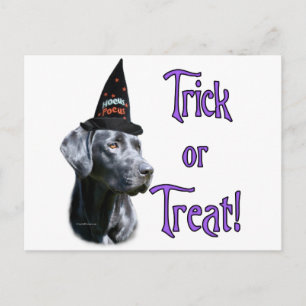 Labrador Retriever (blk) Trick Postcard