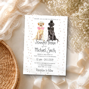 Labrador retriever bride groom valentines wedding invitation