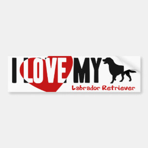 Labrador Retriever Bumper Sticker