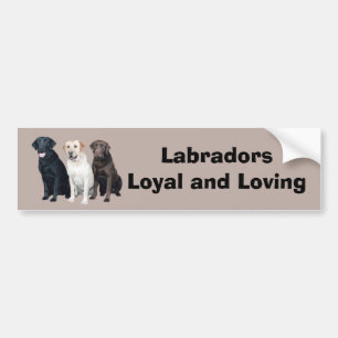 Labrador Retriever Bumper Sticker