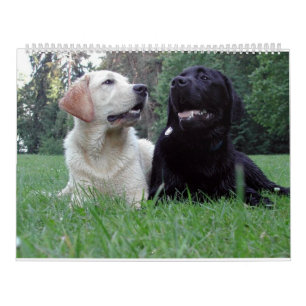 Labrador Retriever Calender Calendar