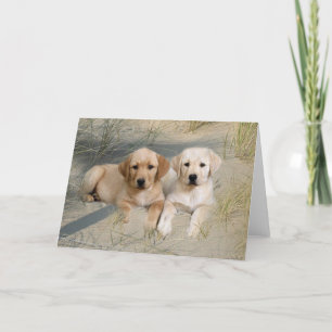 Labrador Retriever Card Pups On Beach