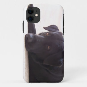 labrador retriever iPhone 11 case