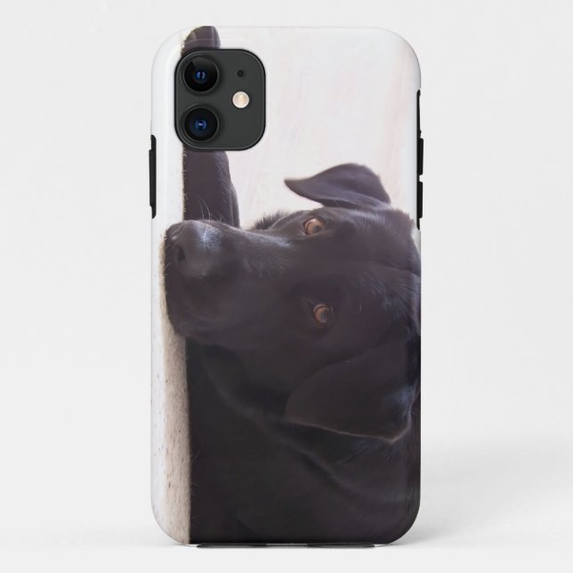 labrador retriever Case-Mate iPhone case (Back)