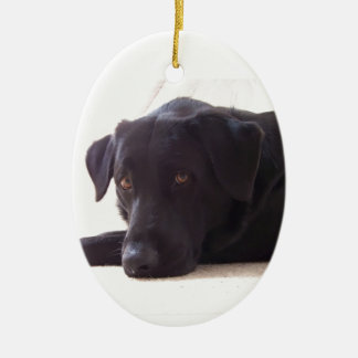 labrador retriever ceramic tree decoration