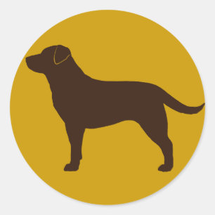 Labrador Retriever (Chocolate) Classic Round Sticker