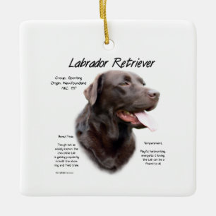Labrador Retriever (chocolate) History Design Ceramic Ornament