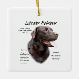 Labrador Retriever (chocolate) History Design Ceramic Ornament