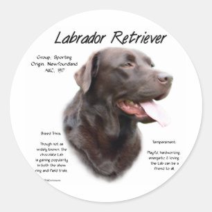 Labrador Retriever (chocolate) History Design Classic Round Sticker