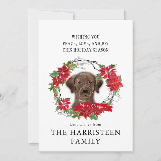 Labrador Retriever chocolate Poinsettia Christmas Holiday Card (Front)