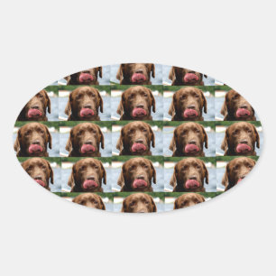 Labrador Retriever Chocolate Tiles BG Oval Sticker