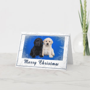 Labrador retriever christmas card