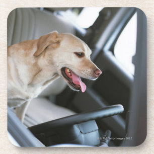 Labrador retriever coaster