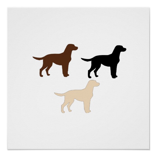 labrador retriever colour silhouettes poster (Front)