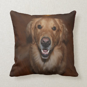 Labrador retriever cushion