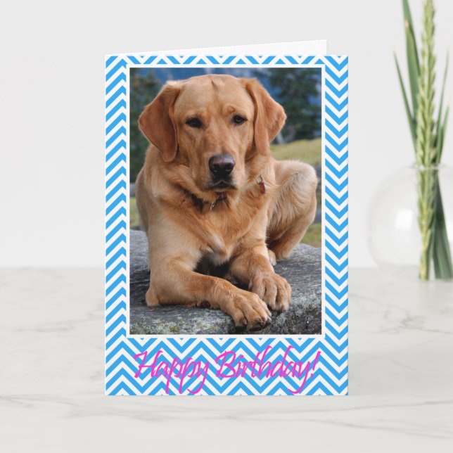 Labrador Retriever Dog Happy Birthday Blue Card (Front)