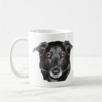 Labrador Retriever Dog Lover Personalised