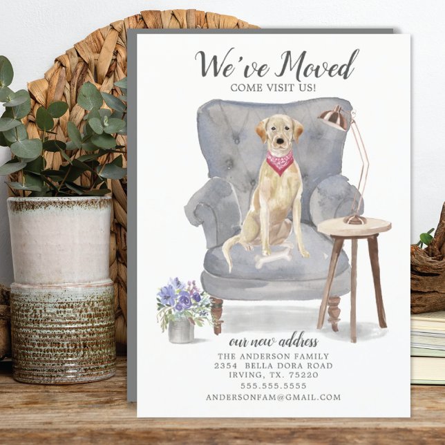 Labrador retriever Dog | Moving Announcement (Creator Uploaded)