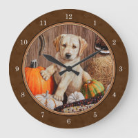 Labrador Retriever Dog & Pumpkins Brown