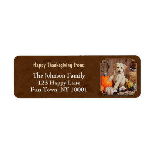 Labrador Retriever Dog & Pumpkins Brown Return Address Label