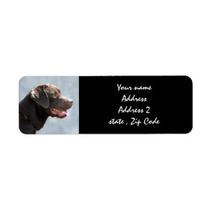 Labrador Retriever Dog Return Address Label