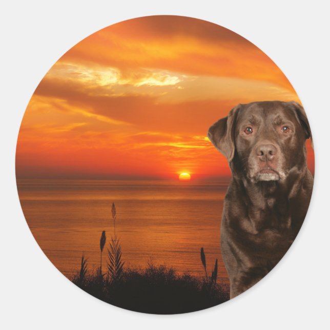 Labrador Retriever Dog Sitting beside Sunset Classic Round Sticker (Front)