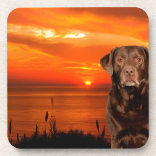 Labrador Retriever Dog Sitting beside Sunset Coaster
