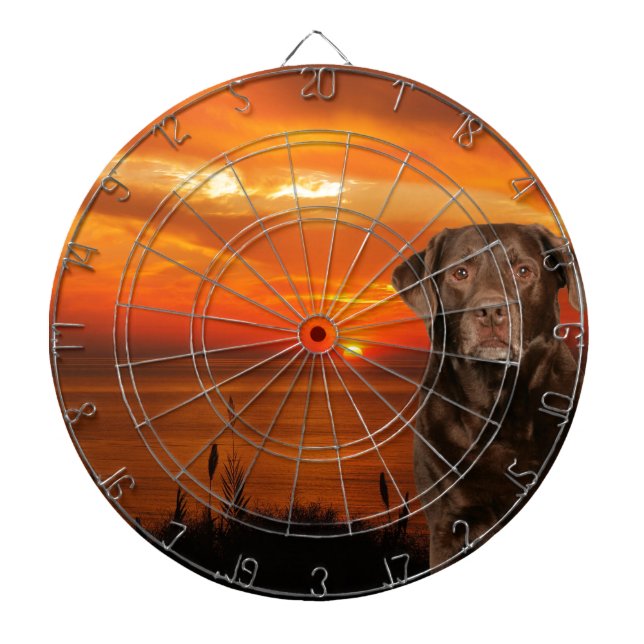 Labrador Retriever Dog Sitting beside Sunset Dartboard (Front)