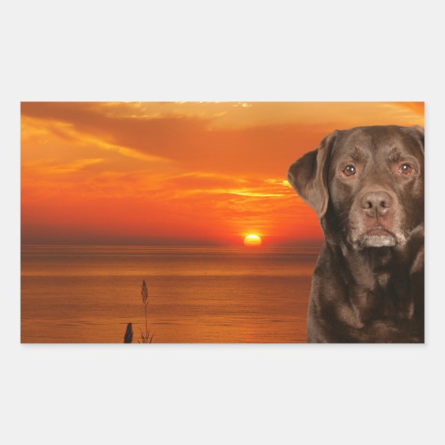 Labrador Retriever Dog Sitting beside Sunset Rectangular Sticker (Front)
