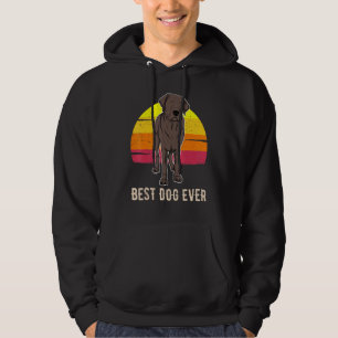 Labrador Retriever Dog Sunset 8 Hoodie