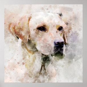 Labrador Retriever Dog Watercolor Portrait 02 Poster